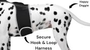 Android Compatible GSM Pet Locator Pet Tracker Cat Dog GPS Tracking System Size:M