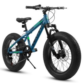 V20235 20 Inch Fat Tire Bike 7 Speed Mountain Bike, Dual Disc Brakes, High Carbon Steel Frame, Front Suspension, Mountain Buggy, City Commuter Ci (Color: Blue)