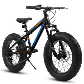 V20235 20 Inch Fat Tire Bike 7 Speed Mountain Bike, Dual Disc Brakes, High Carbon Steel Frame, Front Suspension, Mountain Buggy, City Commuter Ci (Color: Black)